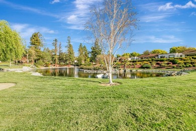 BACK ON THE MARKET - SPECTAULAR SINGLE LEVEL VILLA - located in - photo 38