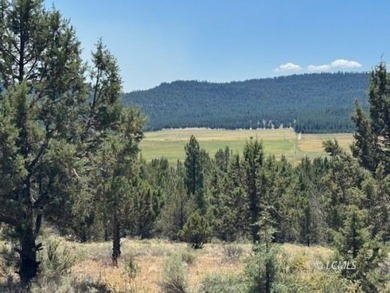 Sprague River Lot For Sale in Chiloquin Oregon