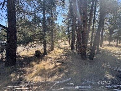 Sprague River Lot For Sale in Chiloquin Oregon