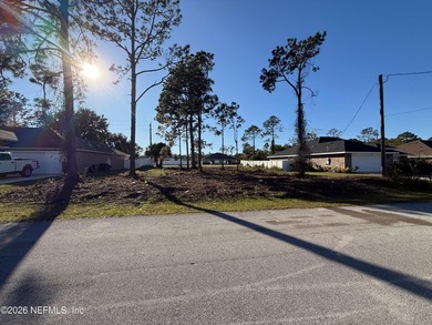 Build Your Dream Home in Seminole Woods! This ALMOST-CLEARED - photo 3
