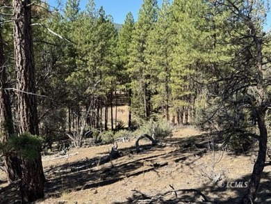 Sprague River Lot For Sale in Chiloquin Oregon