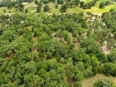 Lake Lot For Sale in Somerville, Texas