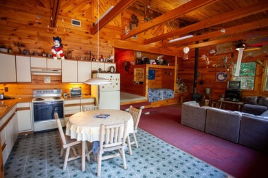 Camp Eagle View - Moose Island, Lake Placid - Welcome to Camp - photo 7