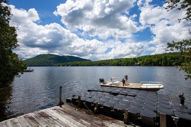 Camp Eagle View - Moose Island, Lake Placid - Welcome to Camp - photo 8
