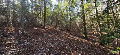 Lake Sam Rayburn  Lot For Sale in Jasper Texas