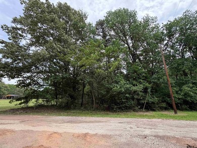 This lot in Tall Tree North Lake Community of Mount Vernon - photo 1