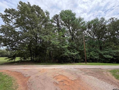 This lot in Tall Tree North Lake Community of Mount Vernon - photo 5