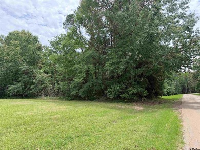 This lot in Tall Tree North Lake Community of Mount Vernon - photo 6