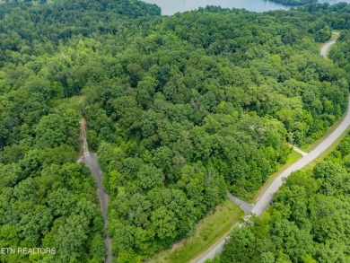 Lake Acreage For Sale in Rockwood, Tennessee