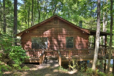 Lake Home For Sale in Cherry Log, Georgia