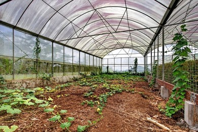 Income-Producing Farm with Established Piggery, Greenhouse & - photo 14