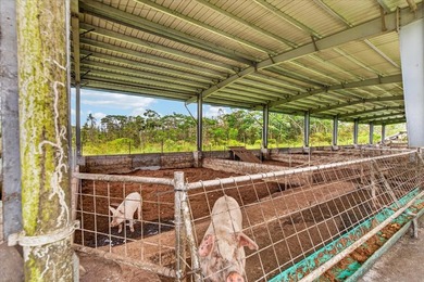 Income-Producing Farm with Established Piggery, Greenhouse & - photo 22