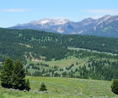Gallatin River Acreage For Sale in Big Sky Montana