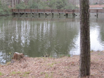(private lake) Lot For Sale in Chocowinity North Carolina