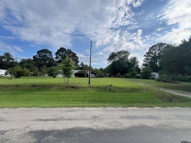 3 bedroom 2 bath home on .67 of an acre, fenced back yard, 2 car - photo 1