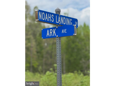 Beautiful and flat water access lot in very popular subdivision - photo 7