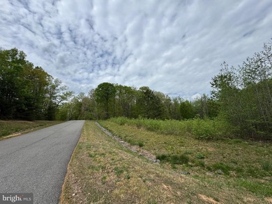 Beautiful and flat water access lot in very popular subdivision - photo 8