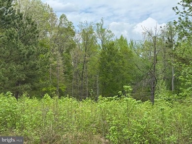 Beautiful and flat water access lot in very popular subdivision - photo 10