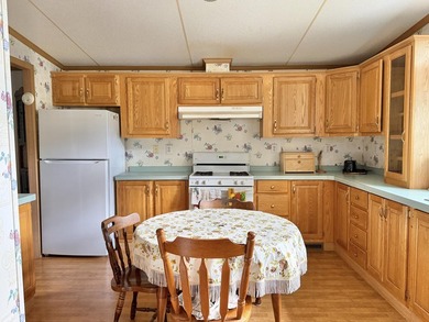 Charming and well-located 3-bedroom, 2-bath manufactured home - photo 8