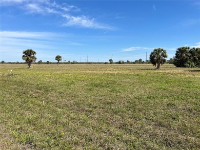 Rotunda Meadows Lakes  Lot For Sale in Placida Florida