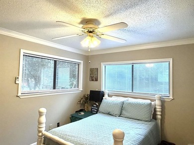 LAKETIME IS HERE! Own your home at beautiful Greers Ferry Lake! - photo 16