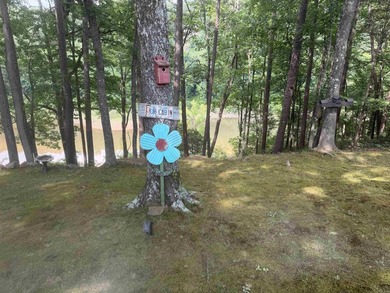 LAKETIME IS HERE! Own your home at beautiful Greers Ferry Lake! - photo 18