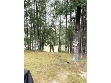 LAKETIME IS HERE! Own your home at beautiful Greers Ferry Lake! - photo 25
