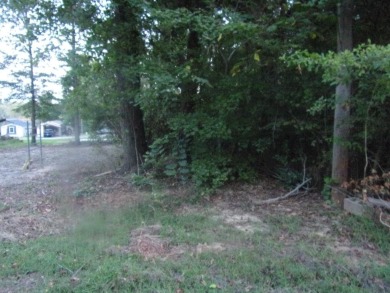 Callender Lake Lot For Sale in Murchison Texas