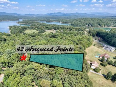 Lake Lot For Sale in Blairsville, Georgia