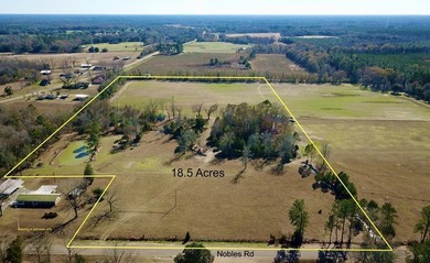 (private lake, pond, coastal) Lot For Sale in Cottonwood Alabama
