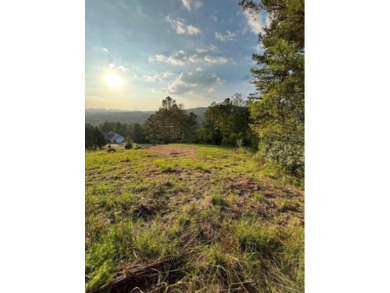 Lake Nottely Lot Sale Pending in Blairsville Georgia