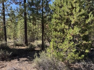 Crescent Lake - Klamath County Lot For Sale in Crescent Lake Oregon