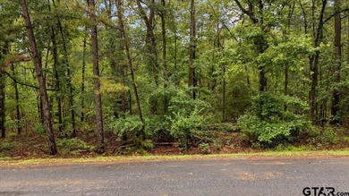 Tucked beneath a canopy of mature trees, this beautiful .33-acre - photo 3