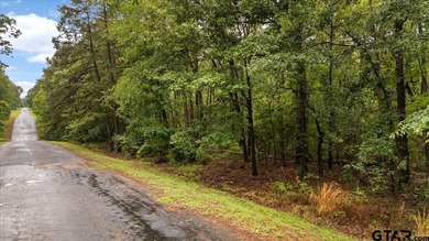 Tucked beneath a canopy of mature trees, this beautiful .33-acre - photo 4