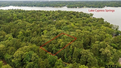 Tucked beneath a canopy of mature trees, this beautiful .33-acre - photo 5