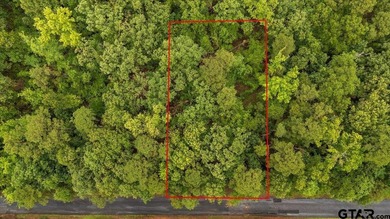 Tucked beneath a canopy of mature trees, this beautiful .33-acre - photo 6