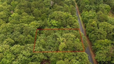 Tucked beneath a canopy of mature trees, this beautiful .33-acre - photo 7