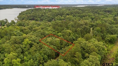 Tucked beneath a canopy of mature trees, this beautiful .33-acre - photo 8