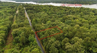 Tucked beneath a canopy of mature trees, this beautiful .33-acre - photo 9