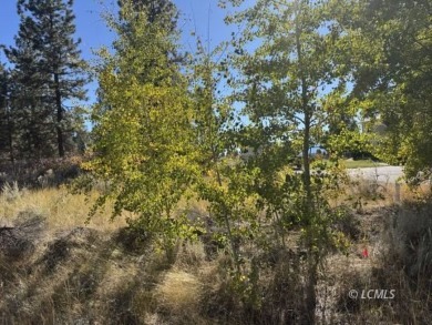 Agency Lake Lot For Sale in Chiloquin Oregon
