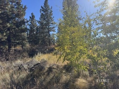 Huge .30 of an acre, corner parcel with numerous large mature - photo 2