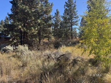 Huge .30 of an acre, corner parcel with numerous large mature - photo 3