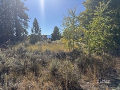 Huge .30 of an acre, corner parcel with numerous large mature - photo 4