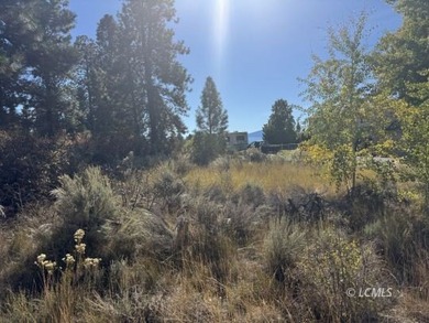 Huge .30 of an acre, corner parcel with numerous large mature - photo 5