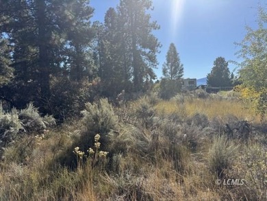 Huge .30 of an acre, corner parcel with numerous large mature - photo 6