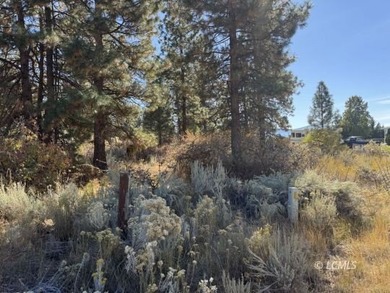 Huge .30 of an acre, corner parcel with numerous large mature - photo 7