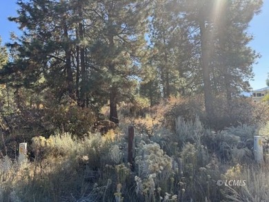 Huge .30 of an acre, corner parcel with numerous large mature - photo 8