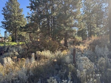 Huge .30 of an acre, corner parcel with numerous large mature - photo 9