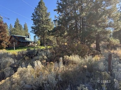 Huge .30 of an acre, corner parcel with numerous large mature - photo 10