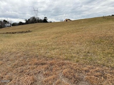 Douglas Lake Lot Sale Pending in Dandridge Tennessee